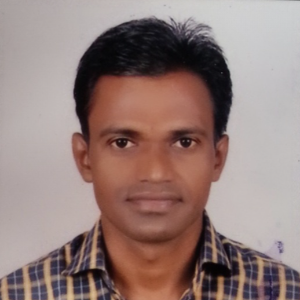 Prof. N. D. Jogadiya
